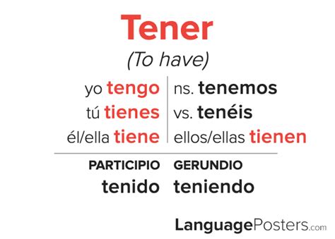 Learn how to conjugate tener in Spanish. Conjugation tables includes every tense, including full Us translation, example sentence, and more. Check your information with their quiz!